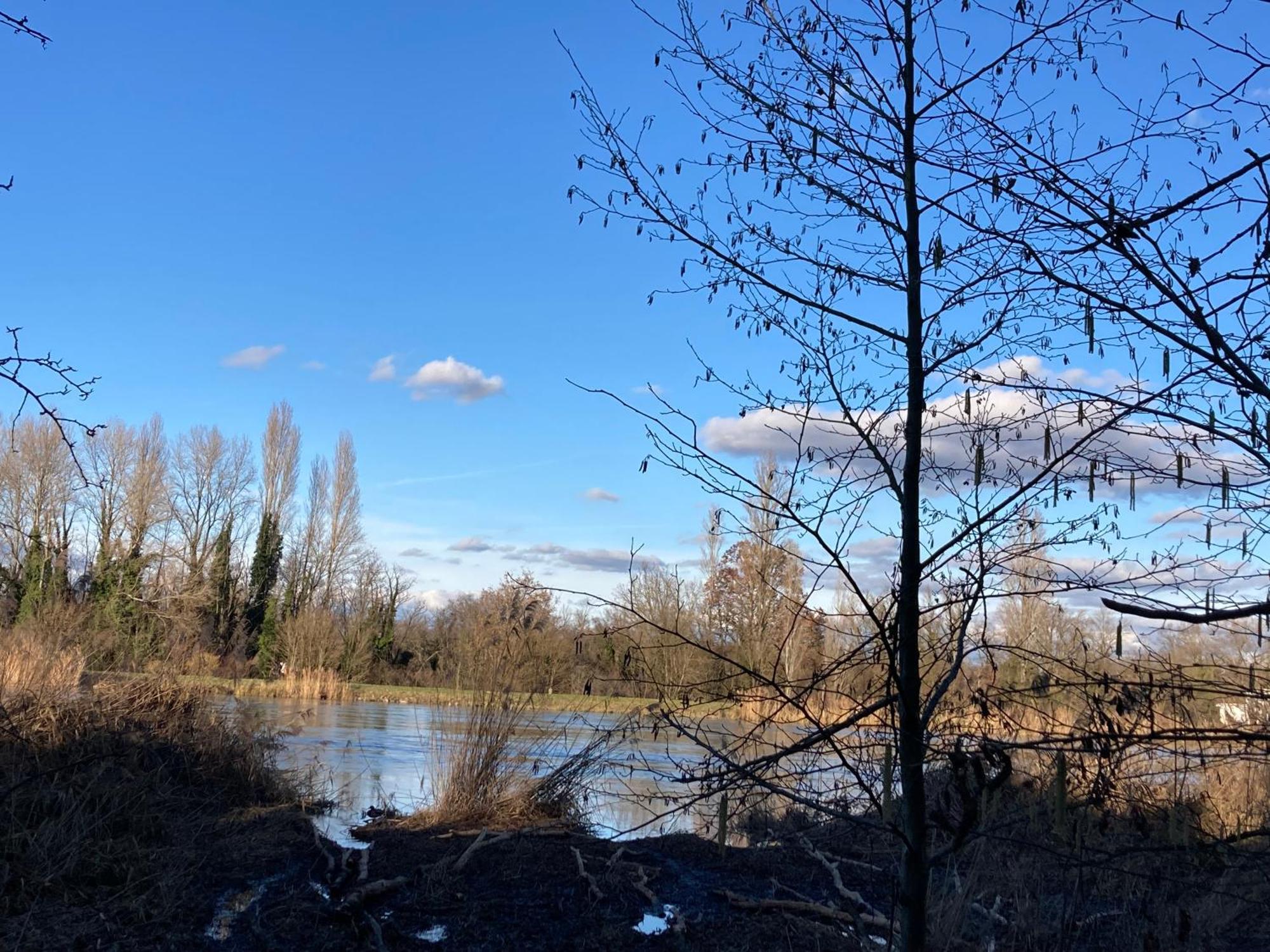 Au Calme Dans Maison En Rez De Jardin A 2,2 Kms Du Groupama Stadium Et Salle Ldlc Arena Meyzieu Εξωτερικό φωτογραφία